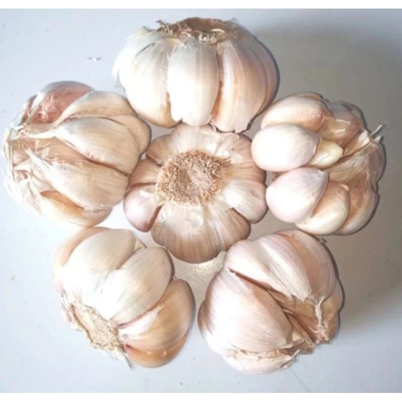 

bawang putih honan bersih 1kg