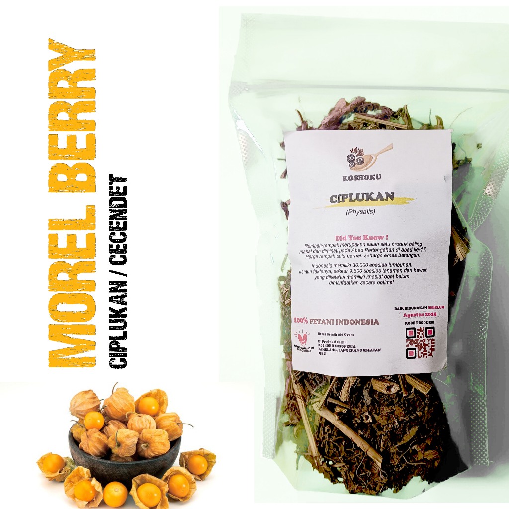 

Ciplukan Kering 50 Gram Teh Daun Akar Cecendet