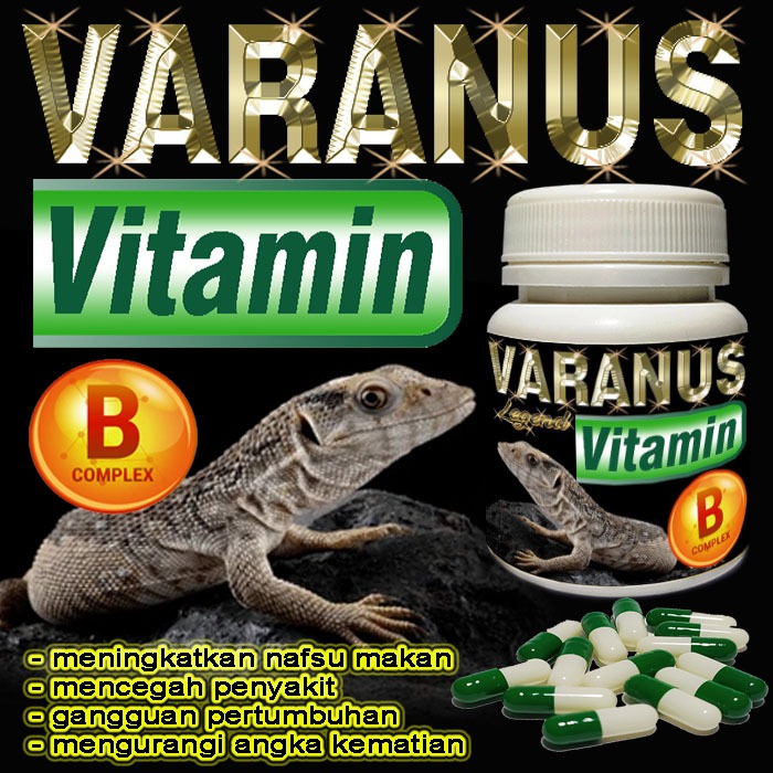 VARANUS VITAMIN BUBUK KAPSUL OBAT MENYEMBUHKAN GANGGUAN PERTUMBUHAN LIZARD KADAL  VARANNUS SALVATOR 