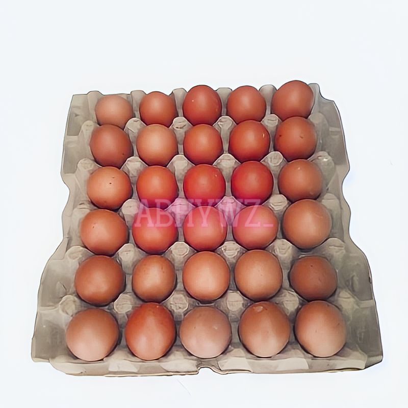

[GRATIS ONGKIR] Telur Ayam Negeri 1 Tray FRESH / Telur Ayam negri 30 butir SEGAR