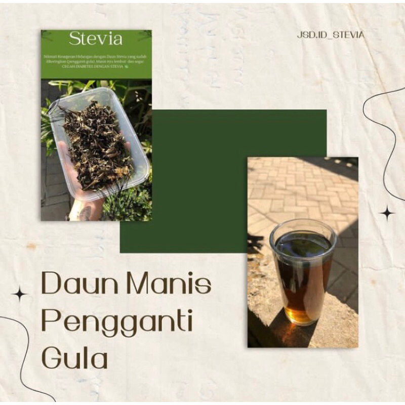 

Daun Stevia Kering ,daun manis pengganti gula| Box kecil (uk 200g) berat 20grm