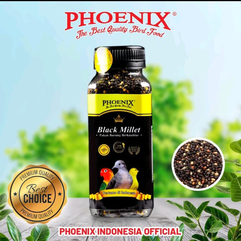Phoenix Phoenix Black Millet