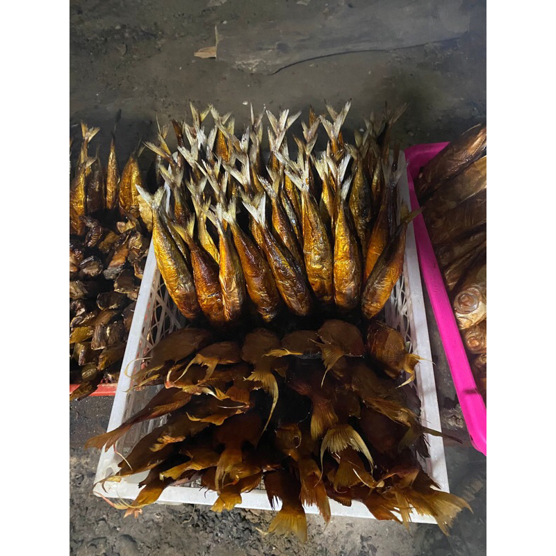 

IKAN LAYANG BELI 10 GERATIS 1 IKAN ASAP PANGGANG
