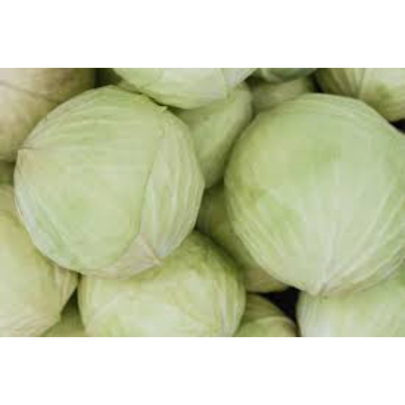 

kol/white cabbage/500gram