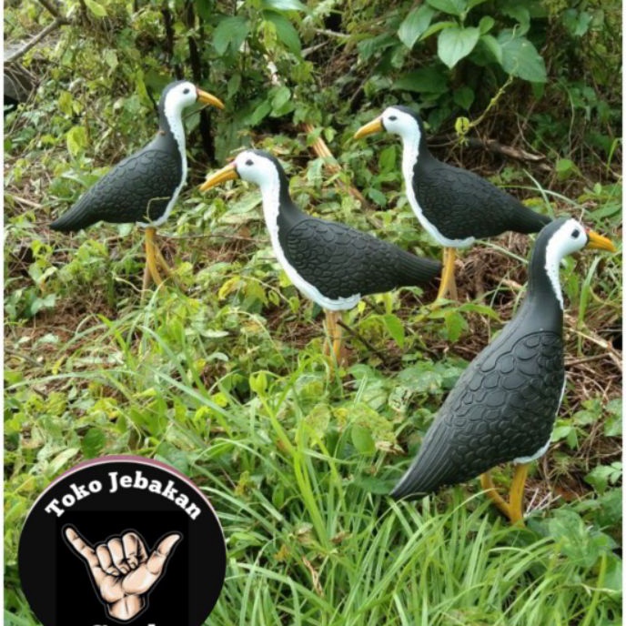 HJ6 patung burung ruak ruak