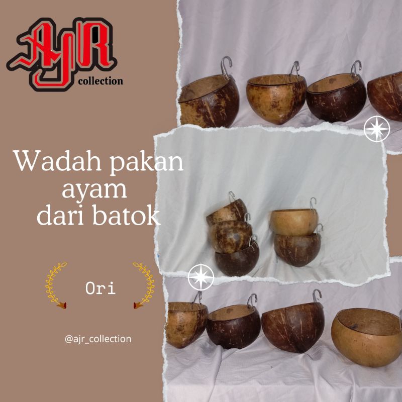 BATOK KELAPA TEMPAT MAKAN AYAM POT BUNGA ANGGREK KERAJINAN TERMURAH