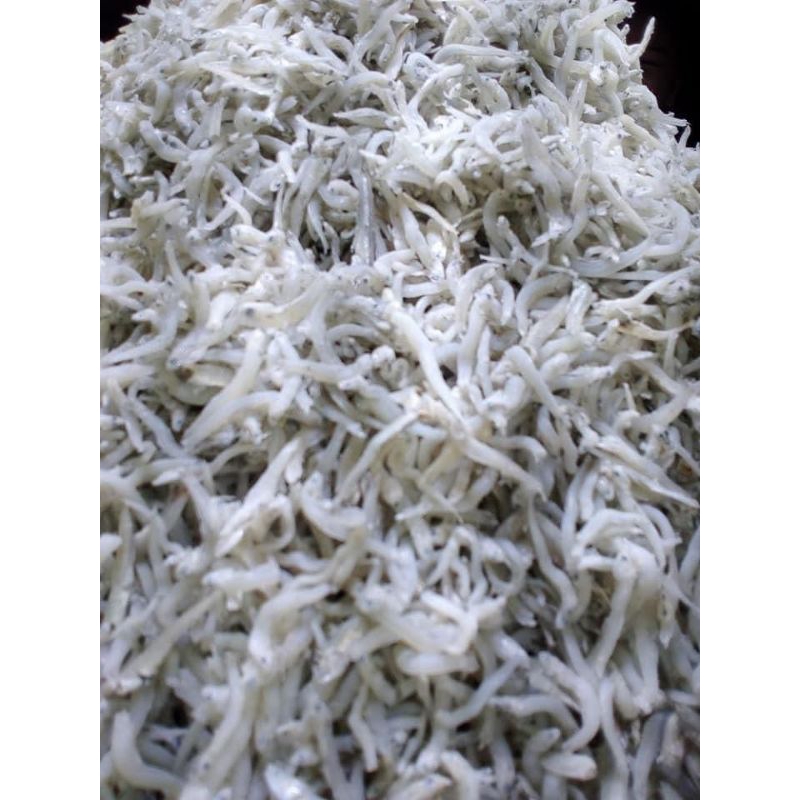 

Teri_Nasi_AsliMedan