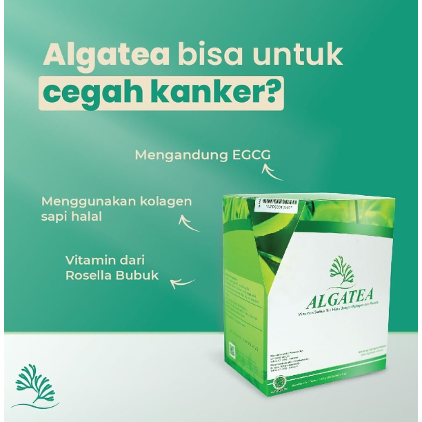 

Alga Tea Minuman Kaya Dengan Kolagen dan Antioksidan Tinggi
