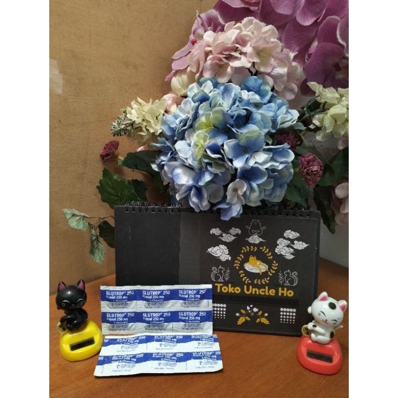 GLUTROP 250 mg (1 strip isi 6 tablet)