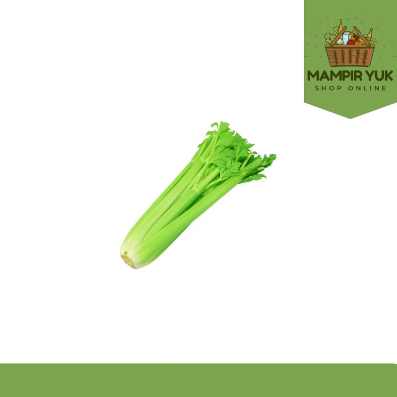 

Clery stick 250gr-1kg | mampiryuk
