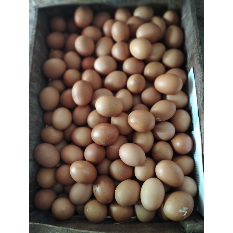 

TELUR AYAM 1KG BUNGKUS MIKA, AMAN MURAH!!!