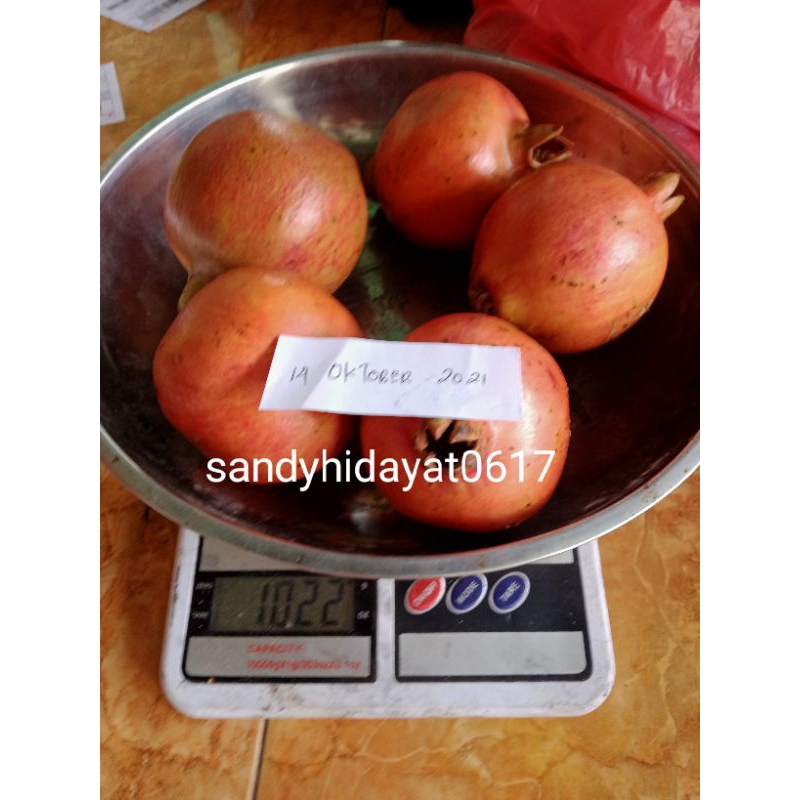 

Buah delima merah spanyol ukuran jumbo 1 kg