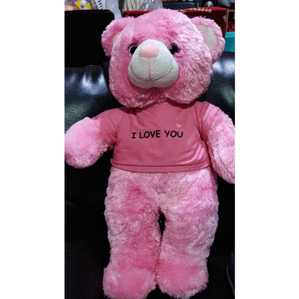 Preloved, Boneka beruang seulgi pink (L)