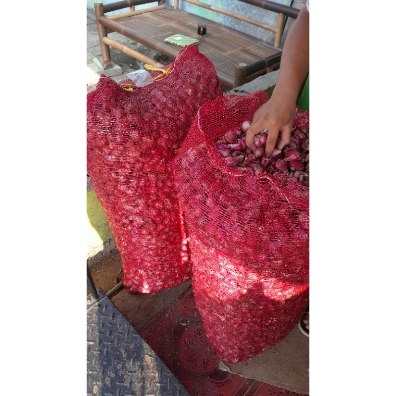 

bawang merah