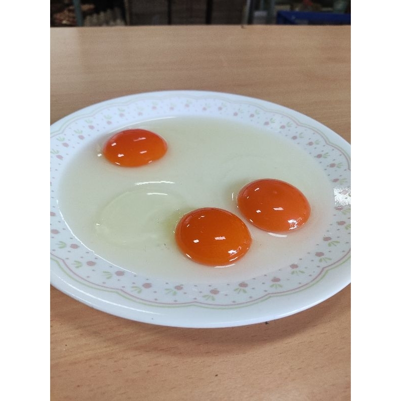 

Telur OMEGA 30 Butir