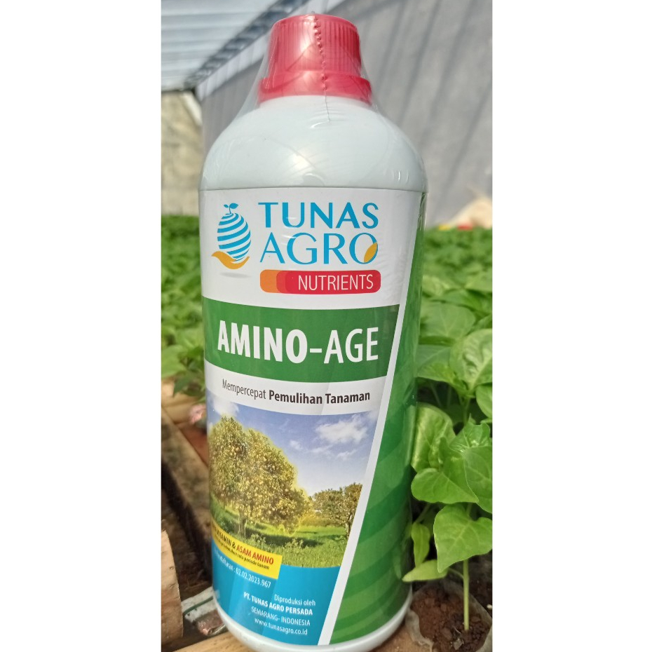 PUPUK ASAM AMINO - AMINO AGE 1 LITER - TUNAS AGRO