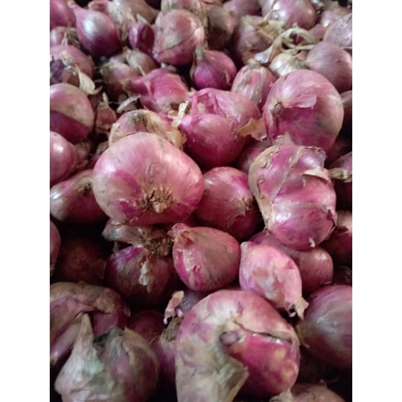 

Bawang merah super asli Solok Surian....chekout 1 kali untuk 1 kg bawang