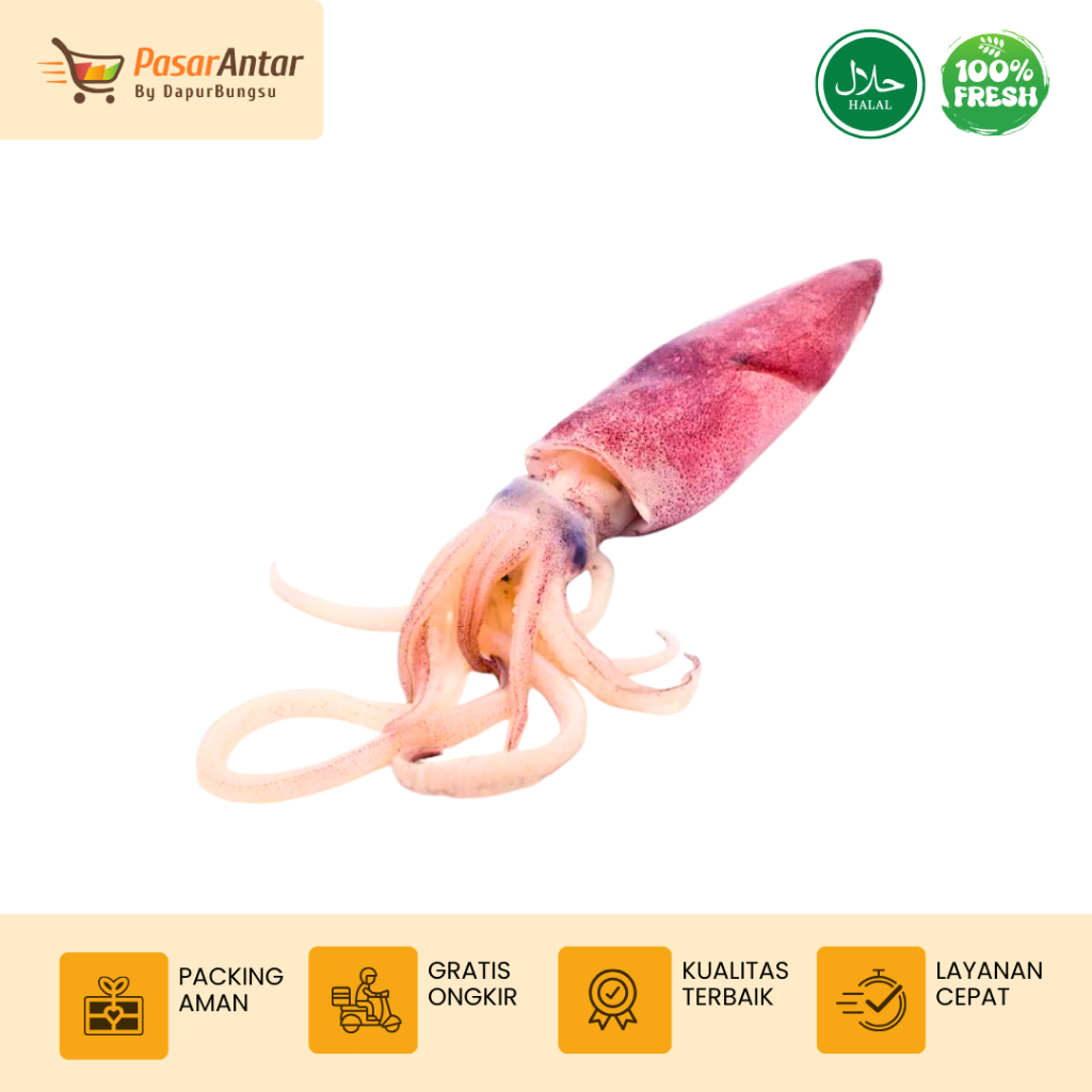 

Cumi Ukuran Besar Segar Bandung