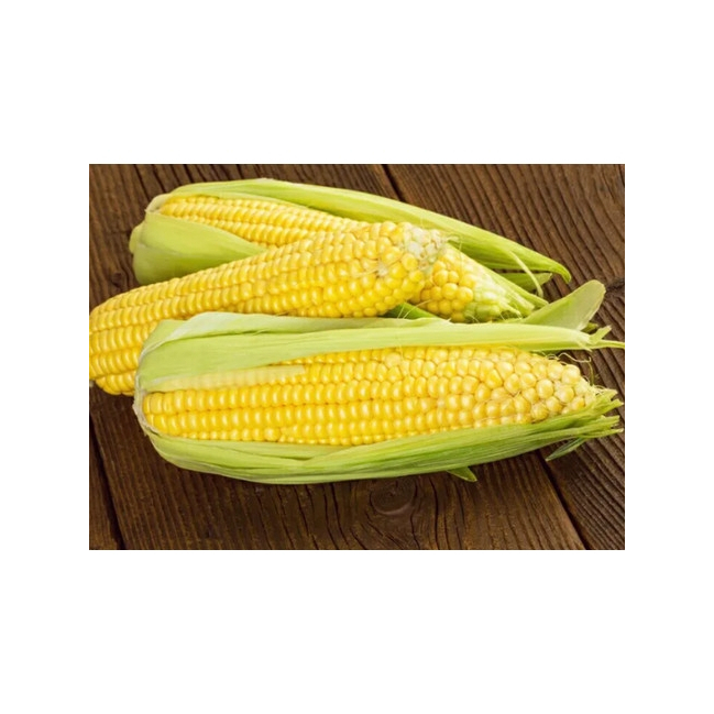 

Jagung Manis 2 Buah (Sayur Maxx)