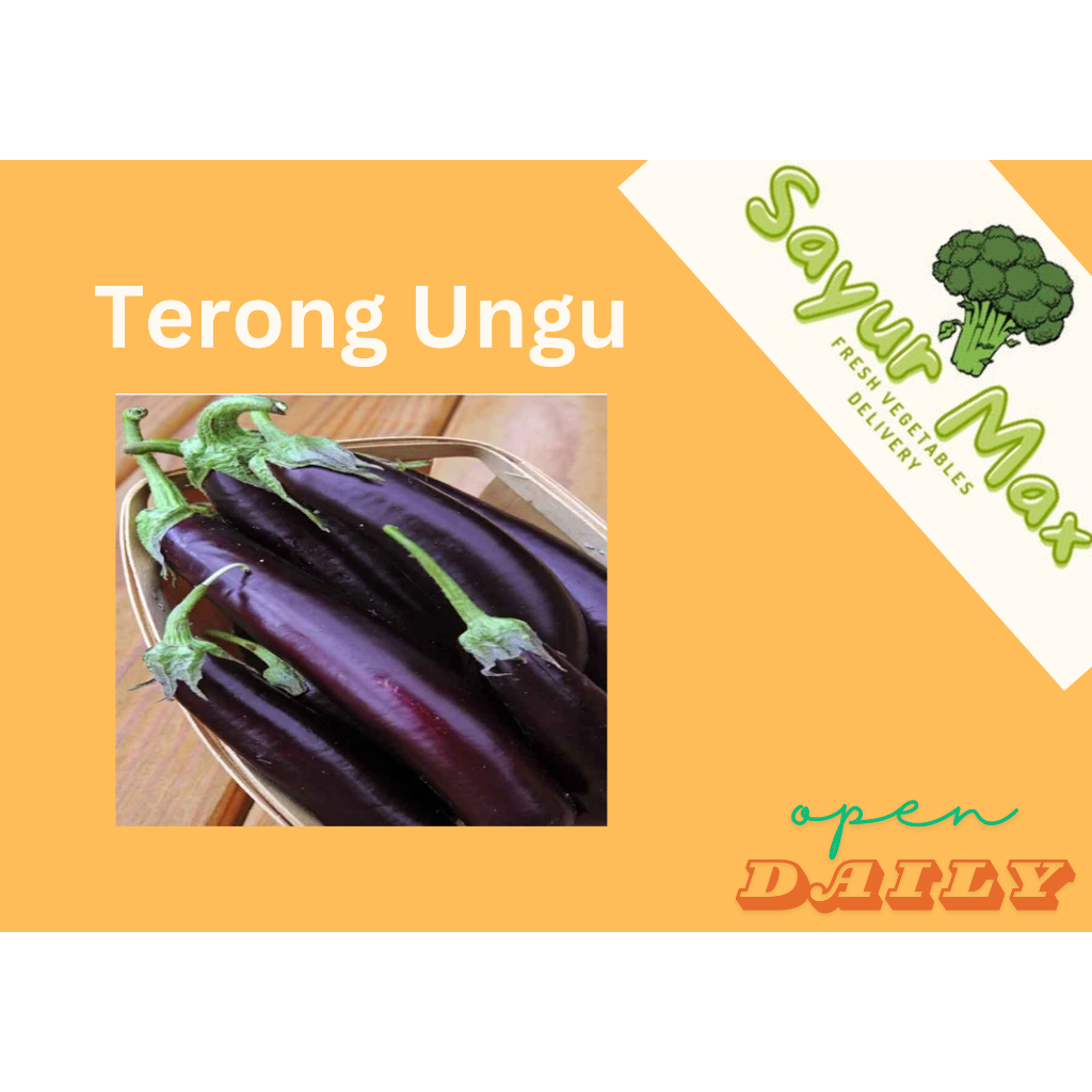 

Terong Ungu