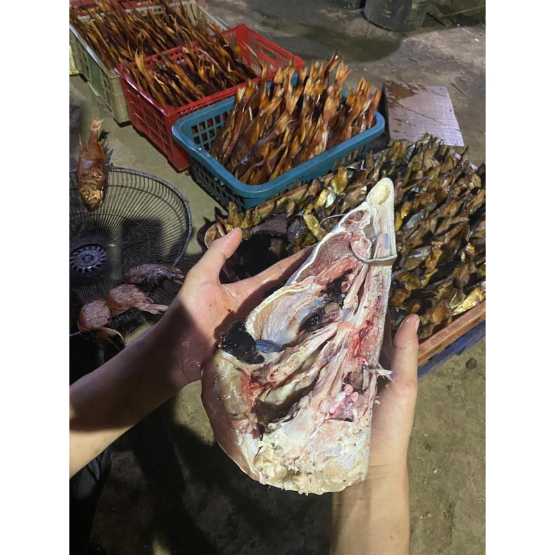 

IKAN ASAP KEPALA MANYUNG JUMBO 2 PASANG