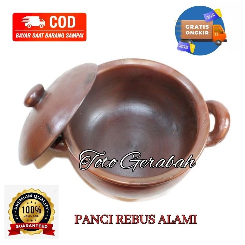 PANCI TANAH LIAT 25 CM PANCI NATURAL PANCI JAMU PANCI HERBAL PANCI GERABAH ALAMI
