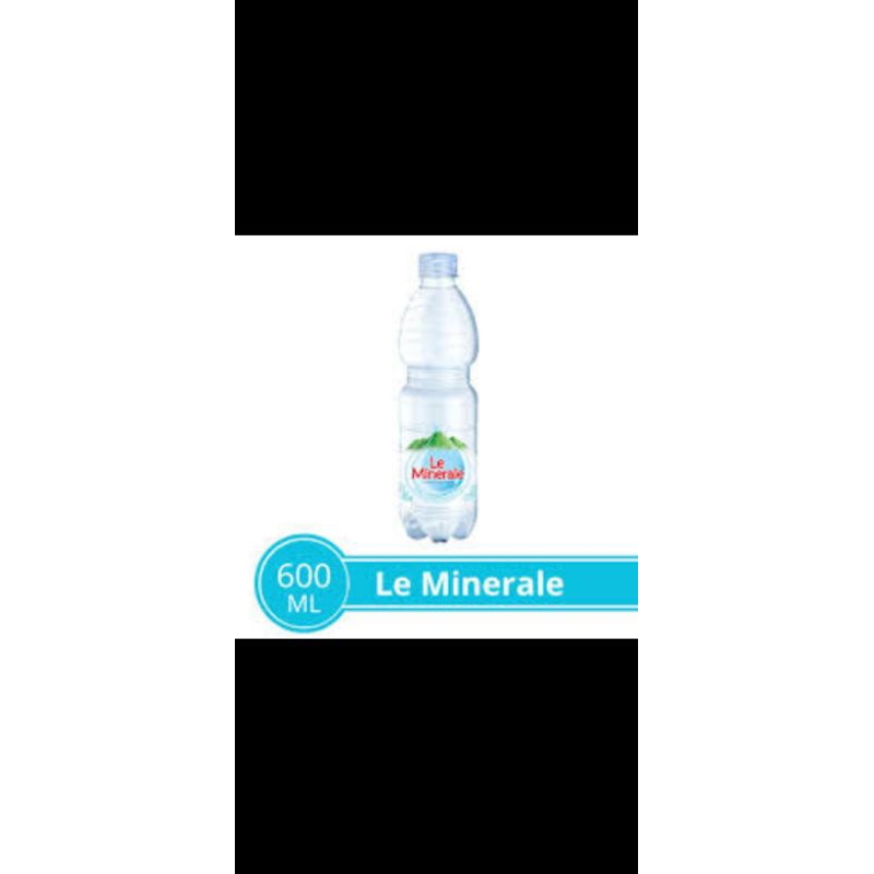 

le minerale 600ml