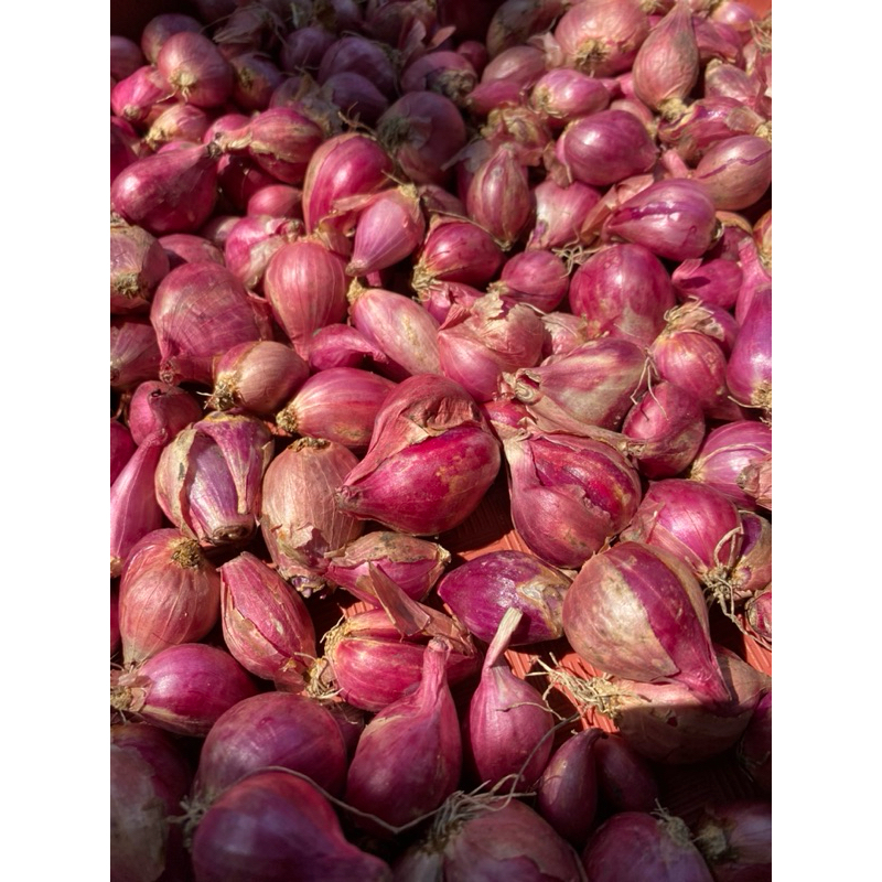 

Bawang Merah Grade B