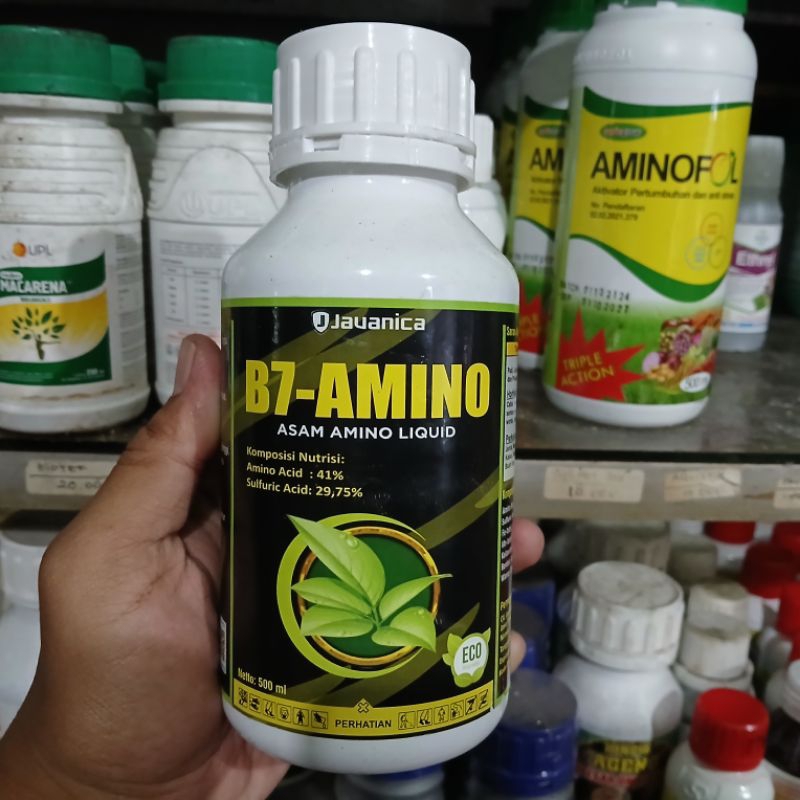 B7-AMINO ASAM AMINO LIQUID UNTUK TANAMAN