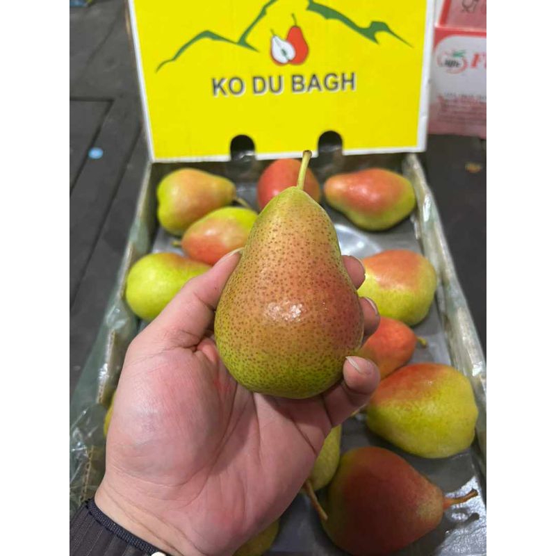

Pear Forelle import 1kg