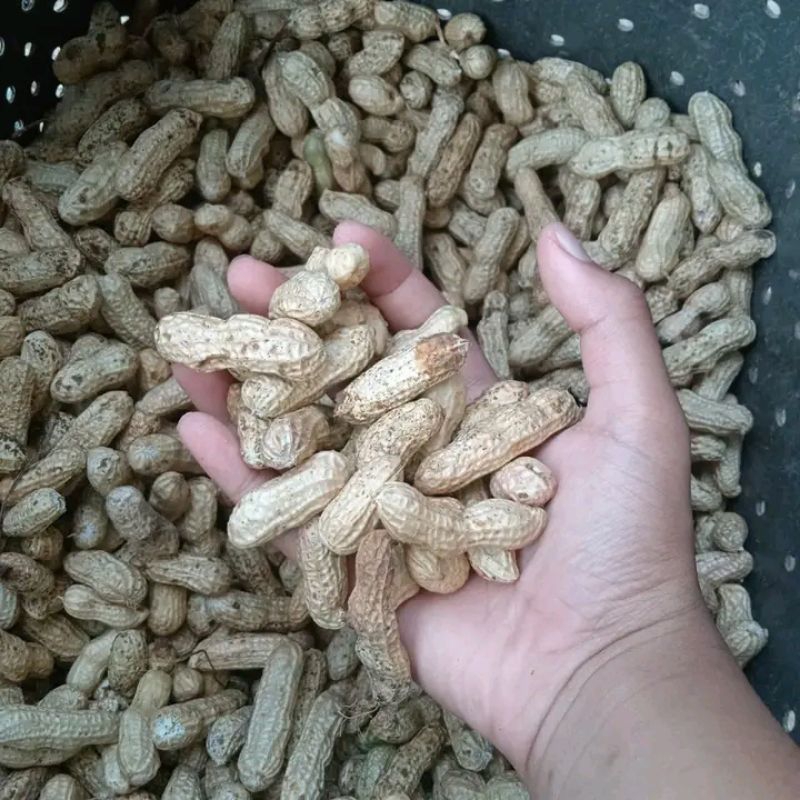 

Kacang Tanah 500gr