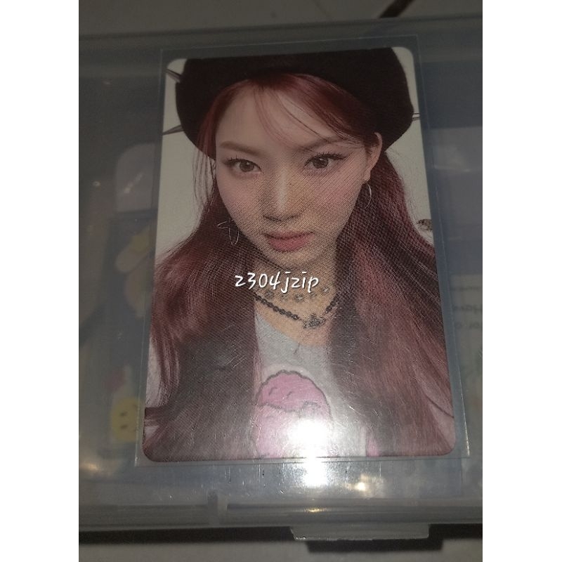 isa stayc teddy bear photocard pc