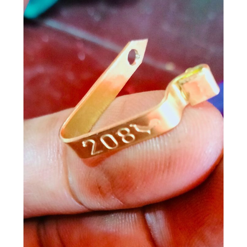 segel sayap ayam (ukuran kecil ). harga perbiji