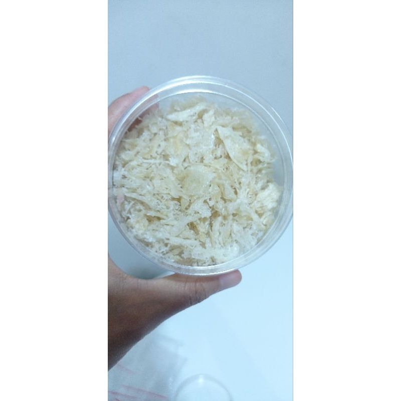 

PROMO IMLEK sarang burung walet terian kemasan 50gr bersih siap masak