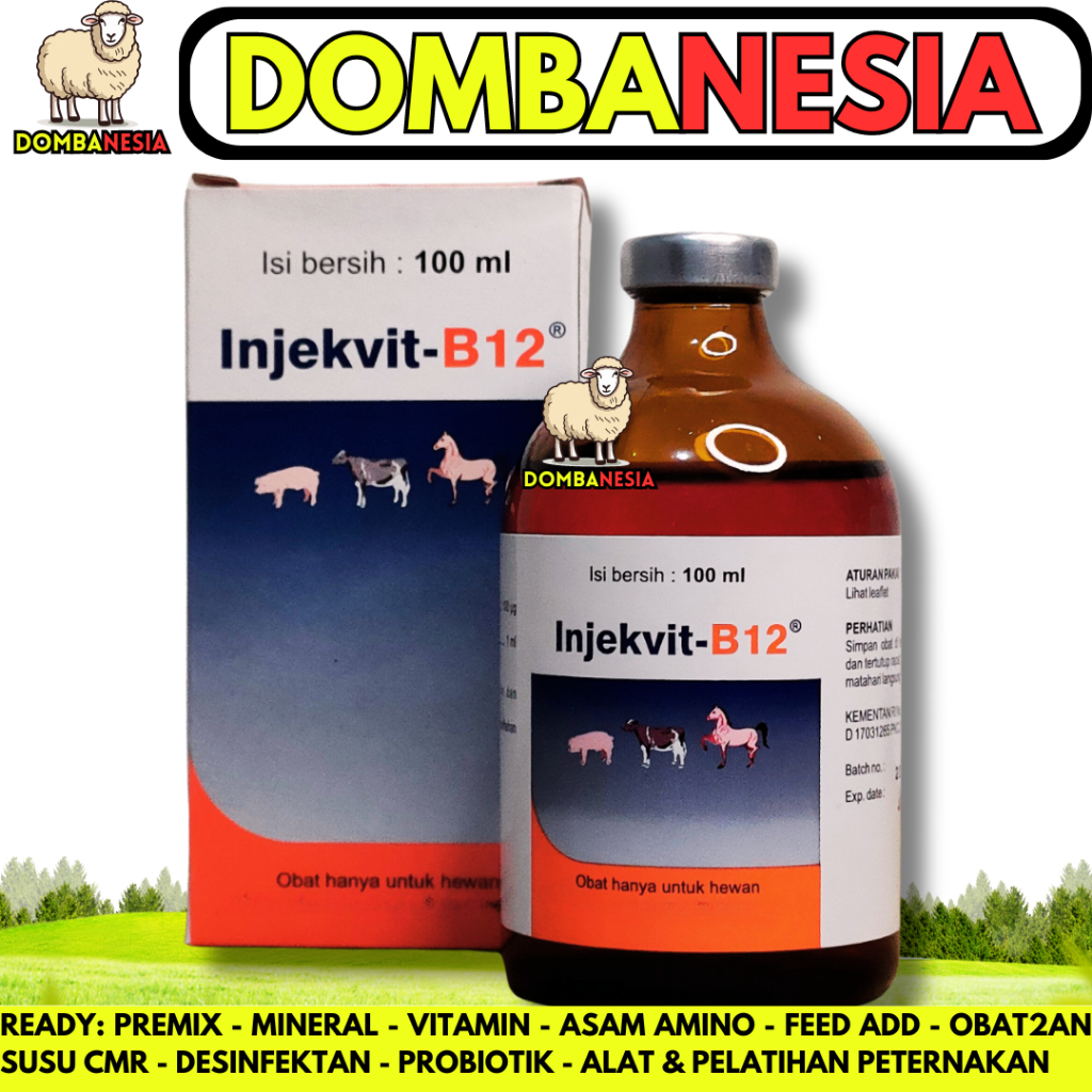INJEKVIT B12 100ML - Obat B12 untuk perbaiki kondisi tubuh, anemia dan tingkatkan nafsu makan hewan 