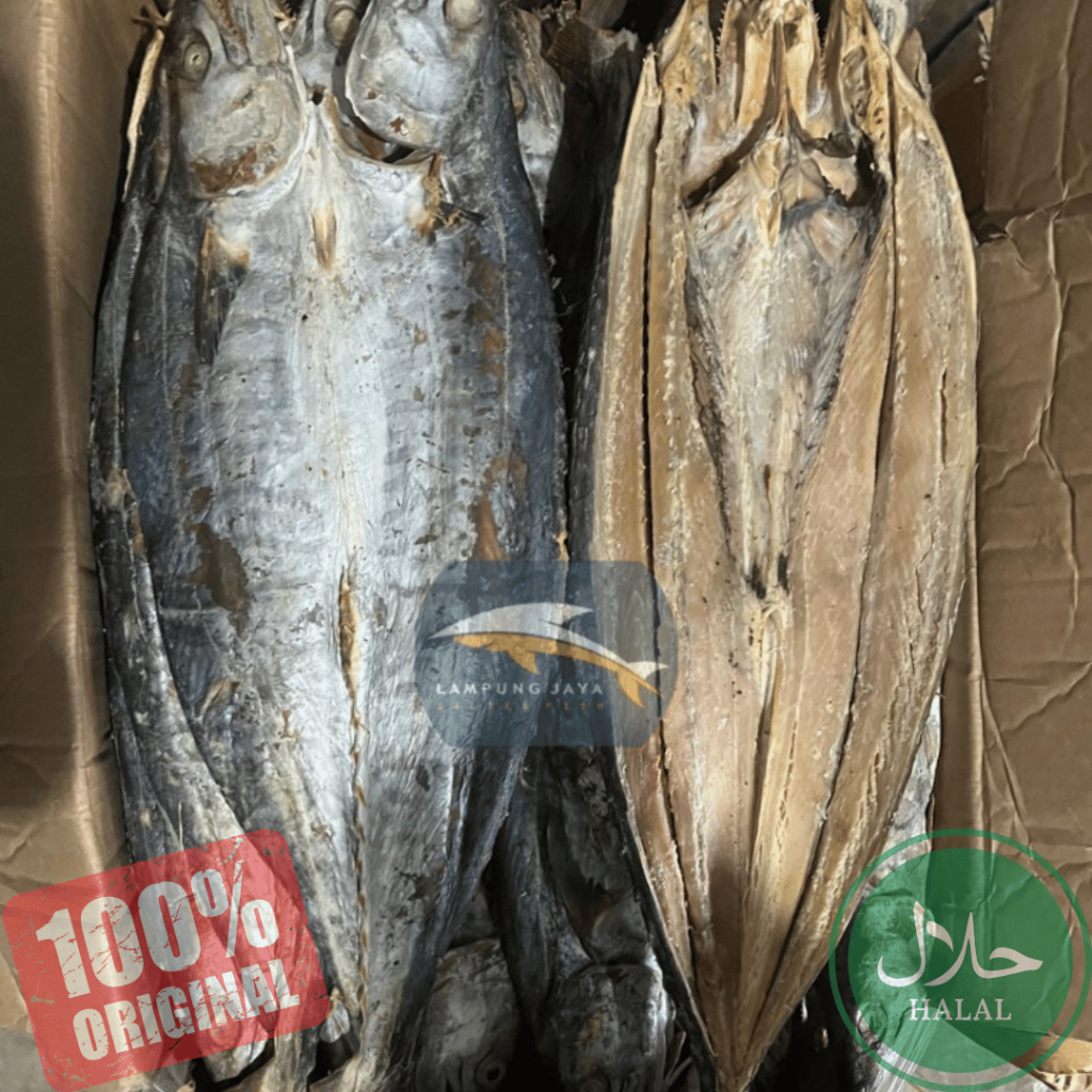 

{BISA COD} 250 GRAM IKAN ASIN TENGGIRI BERKUALITAS - HARGA GUDANG MURAH, DISTRIBUTOR PERTAMA DARI PETANI