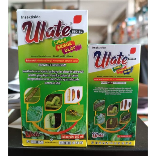 KP8 insektisida ulate