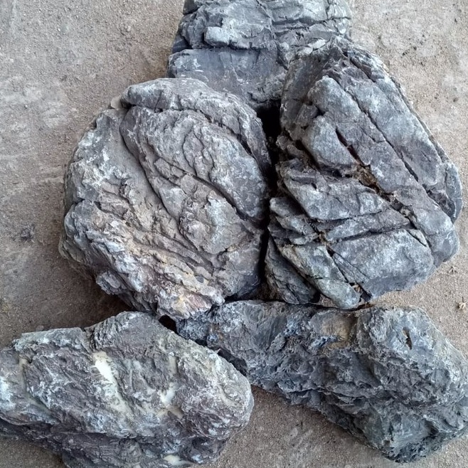 Kejutan Minggu Ini  BATU AQUASCAPE TURLY TRULY BATU DEKORASI AQUARIUM AQUASCAPE