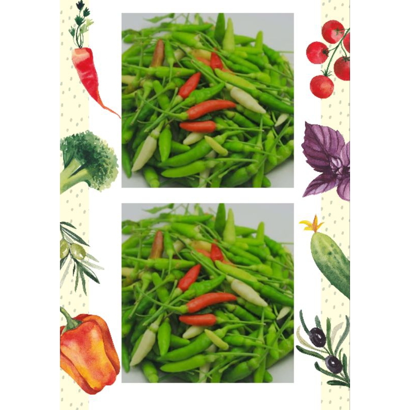 

Cabai Rawit Hijau 1kg