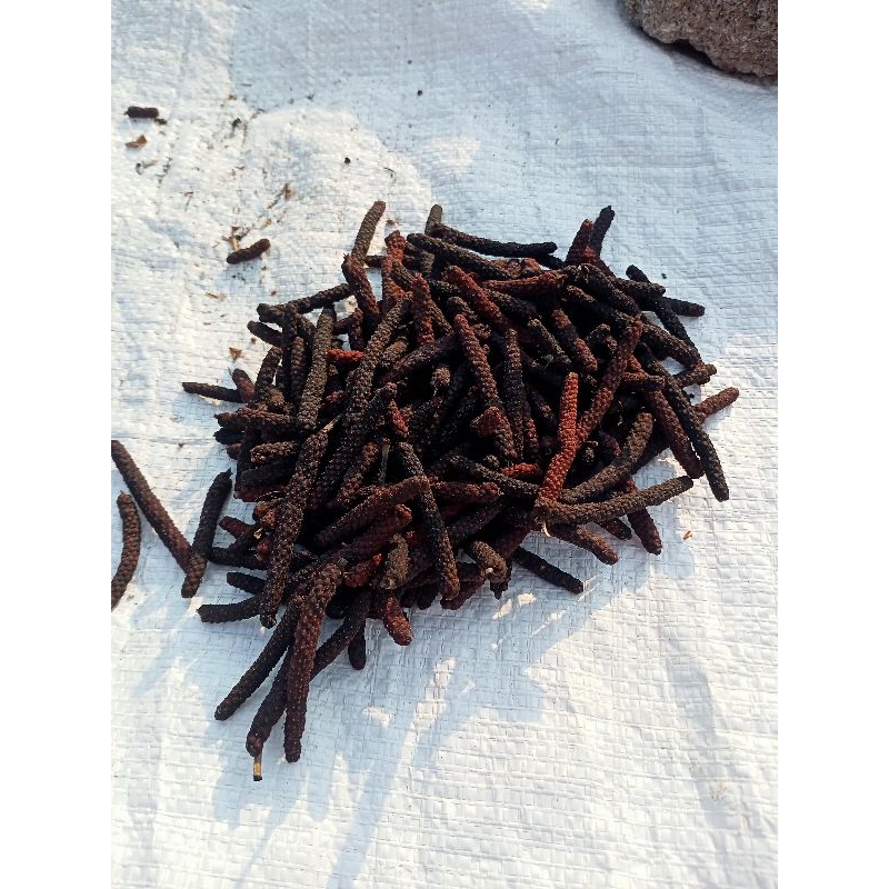 

cabe Jawa/cabe jamu harga 1kg, budidaya sendiri