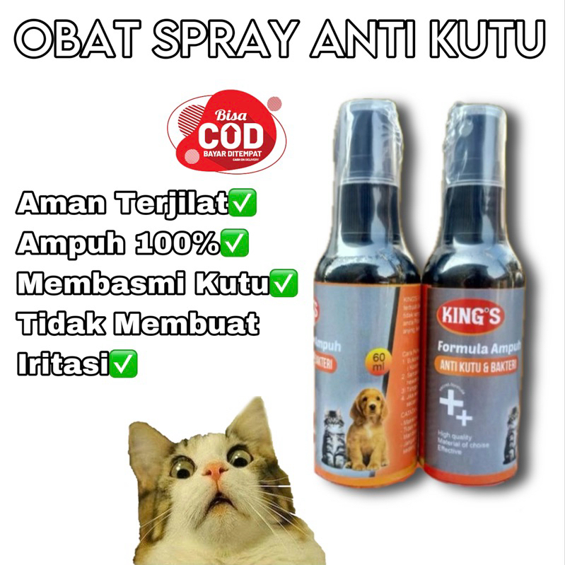 Obat Kutu Kucing Anjing Spray Aman Terjilat 60ml Semprotan Kutu Kucing Kitten Semprotan Kutu Anjing 