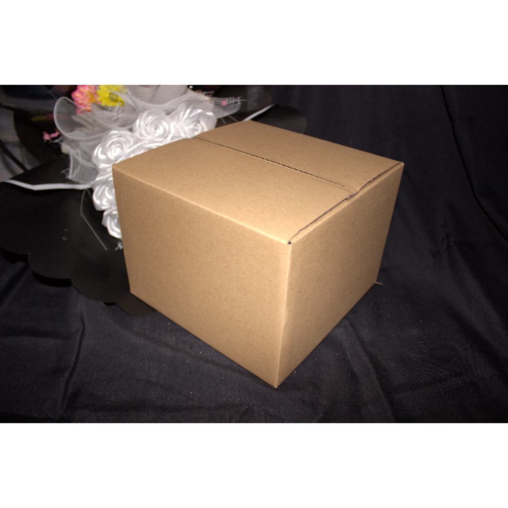 

kardus 20x20x15 cm / box packaging / dus packing / serbaguna