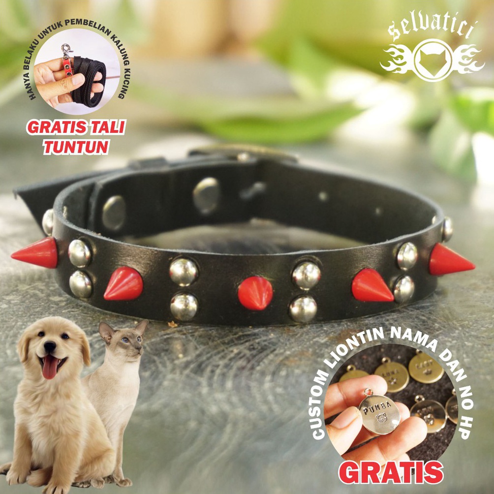 KODE F96Q KALUNG KUCING  ANJING RAS KECIL DURI KULIT ASLI GRATIS UKIR NAMA LIONTIN LOGAM