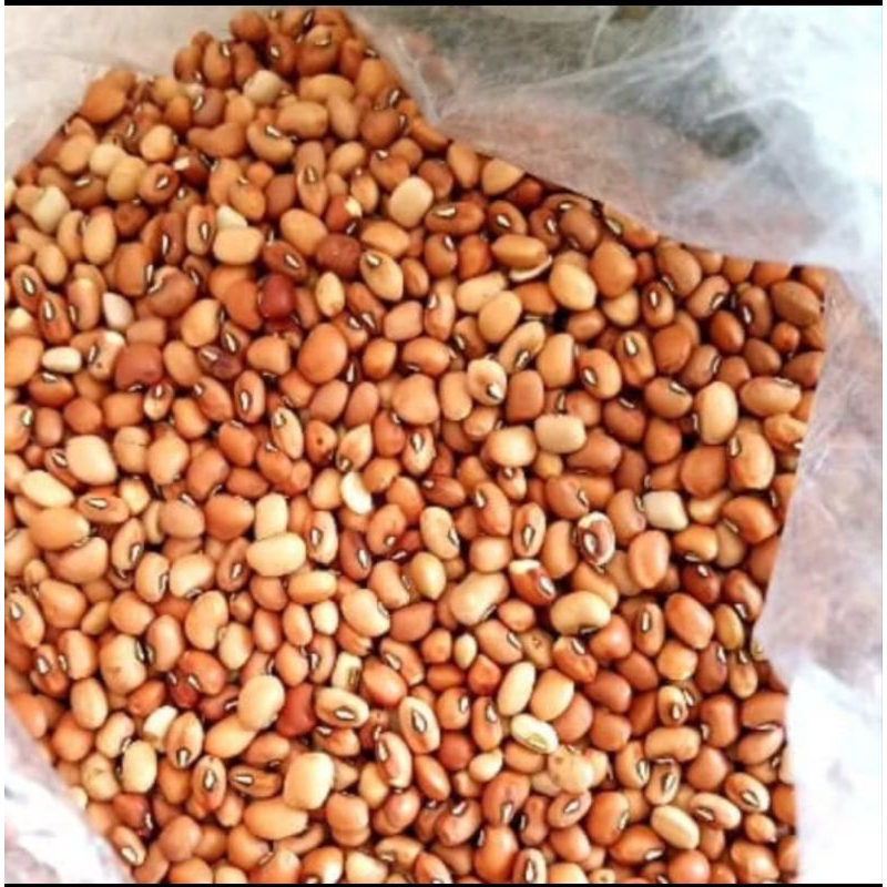 

Kacang Tolo Kering - 200gr