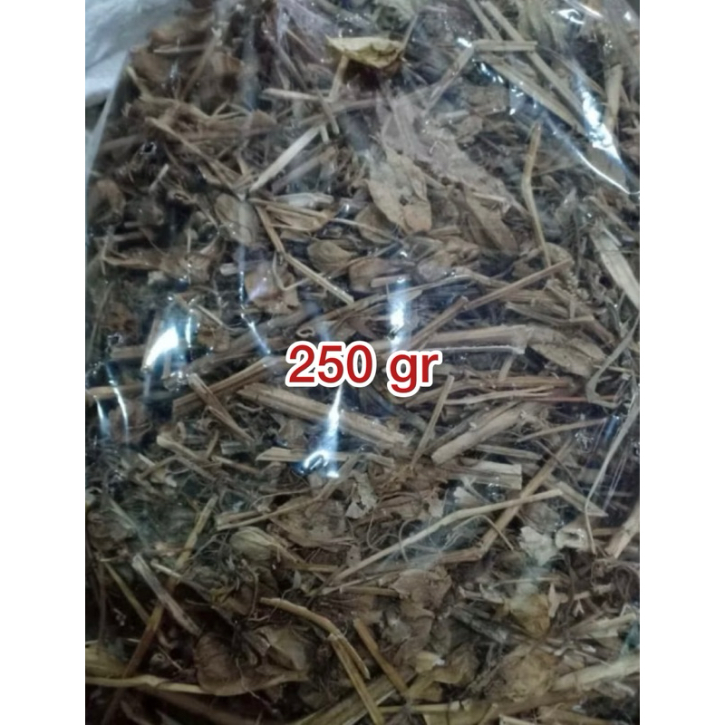 

Ciplukan/Daun Cecendet/Daun Kering Rempah Tradisional 250 g