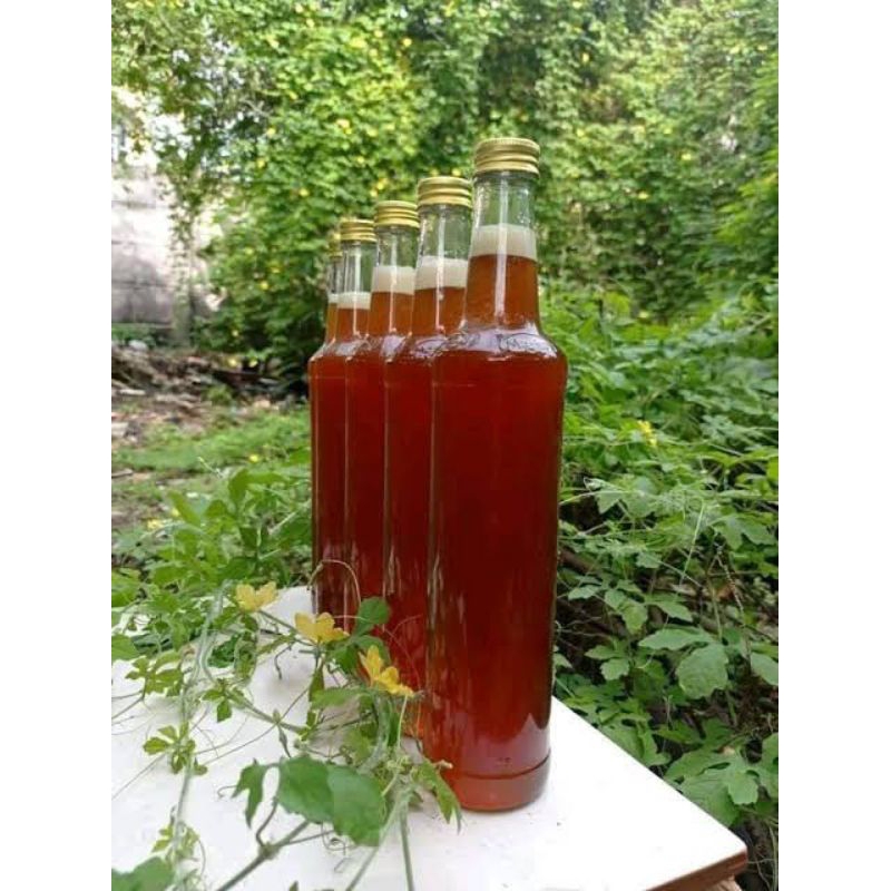 

madu hutan asli 250grm madu Odeng hutan liar 100%murni