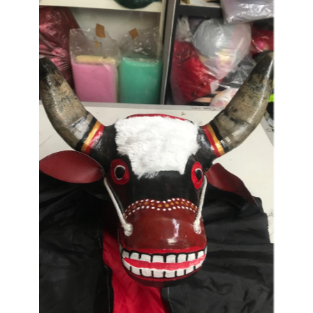 Bantengan tanduk asli /Banteng barongan pentas free kemul panjang / Barongan banteng anak remaja