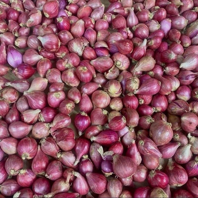 

Bawang Merah 250 gram | Cimahi Cihanjuang Satu Hari Sampai