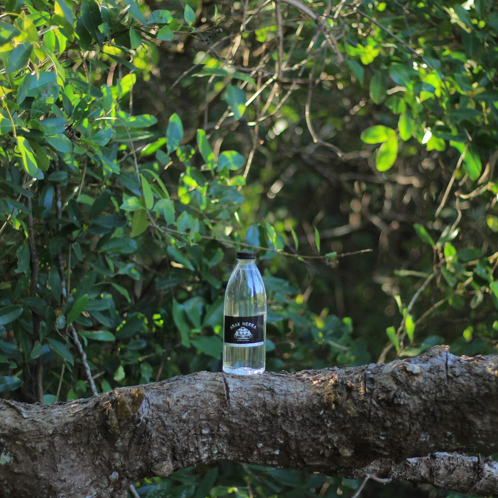 

[HERRA] Minuman Khas Tradisional Bali