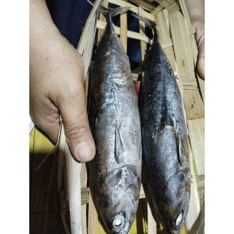 

1 besek pindang tongkol besar.